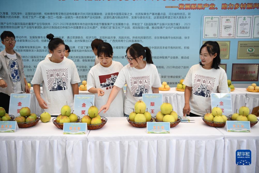 大奖网官方网站网址